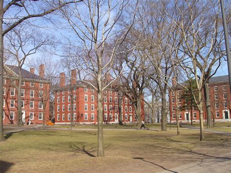 Dosya:Harvard Yard, Harvard University.JPG - Vikipedi