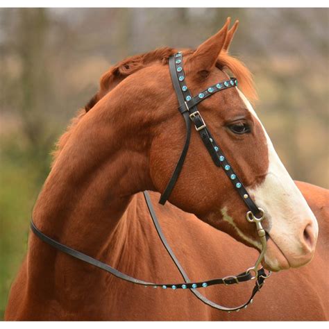 Types of bridle - Best Horse Gears