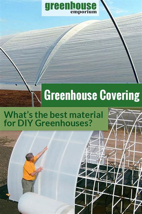 Best Greenhouse Covering Materials for DIY Greenhouses