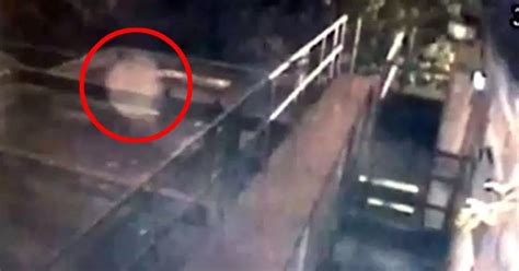 Watch: Liverpool ghost caught on CCTV - Liverpool Echo