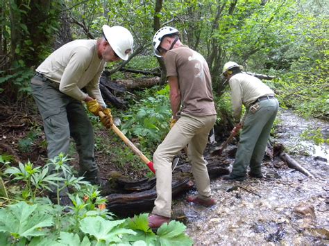 Gavilan Trail #60 - New Mexico Volunteers For The Outdoors