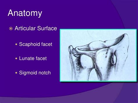 Dr. yt reddy distal radius fractures modified