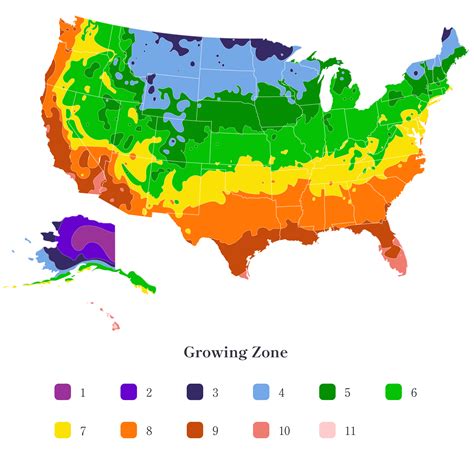Planting Zones In Usa 2024 - Lea Sissie