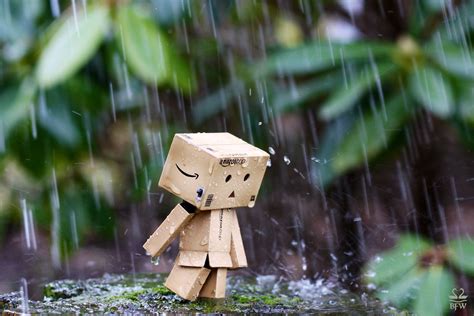 Danbo under the rain , دانبو ، مطر | Rain wallpapers, Danbo, Beautiful ...