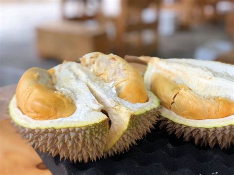 Harga Tiket Masuk Duran Duren, Agrowisata Baru di Jombang | kumparan.com