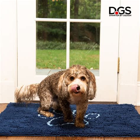 Pin on Dirty Dog Doormat