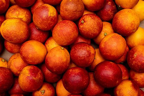 Red Orange Fruit Stock Photo - Download Image Now - Blood, Orange Tree, Orange - Fruit - iStock