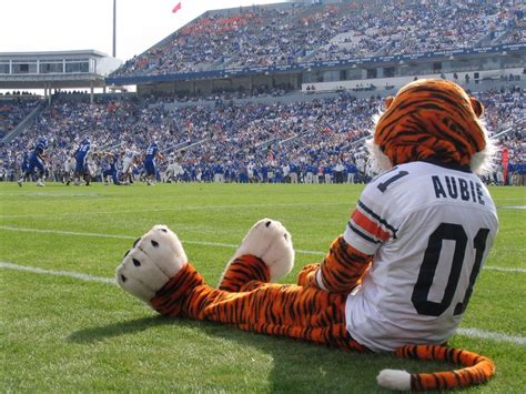 17 Best images about Aubie on Pinterest | Alabama, College football and ...