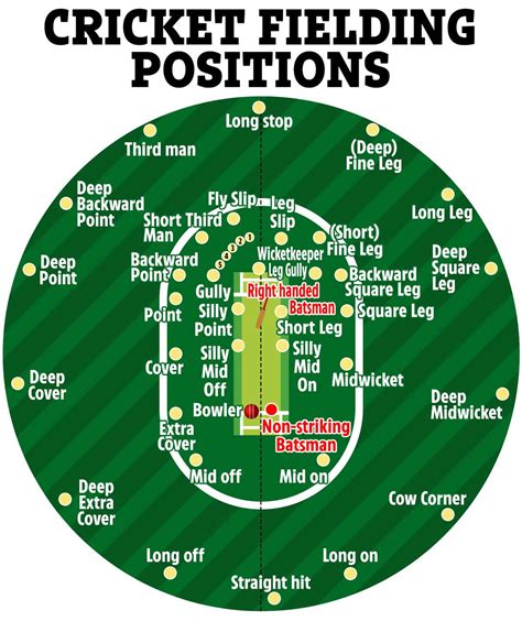 A Detailed Diagram of a Cricket Field: Exploring the Different Areas and Their Functions