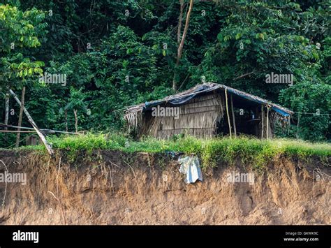 Peruvian amazon jungle hi-res stock photography and images - Alamy