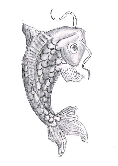 Fish Drawing Pictures - Cliparts.co