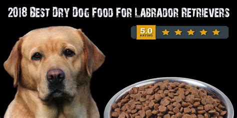 Top 5 Best Dry Dog Food Brands for a Labrador Retriever (2021)