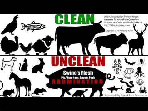 Clean And Unclean Animals Chart : Top Picked from our Experts