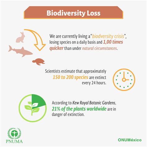 Biodiversity of Mexico | TEEB