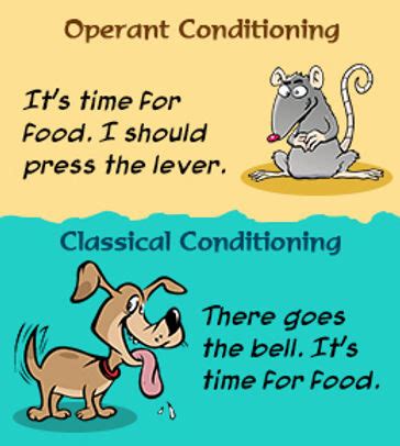 Classical Conditioning vs. Operant Conditioning