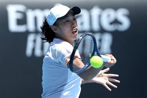 Zhang Shuai reaches Australian Open Round of 16 on birthday night - CGTN