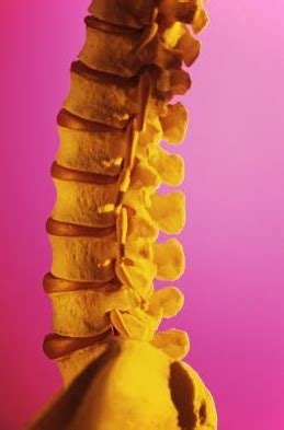 Spinal Cord Injury Causes , Symptoms ,Diagnosis and Treatment: Rehabilitation for T12 Spinal ...