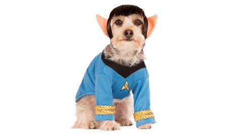 Best TV-Themed Halloween Costumes & Gear: Buy Them Now