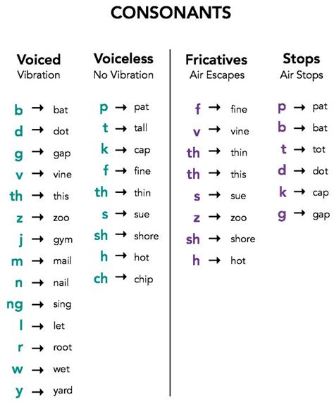 A TOUCH OF ENGLISH: VOICELESS AND VOICED CONSONANTS CHART | Speech language pathology grad ...