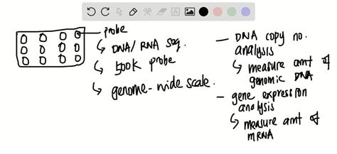 SOLVED:What are advantages and disadvantages of third-generation ...