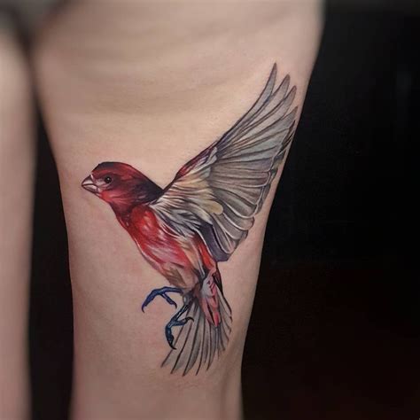 Purple finch I did on the back of a thigh today !!! Done with inkjecta flite V2… | Tattoos ...