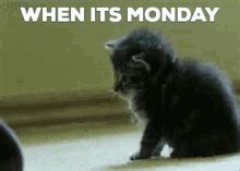 Monday Blues GIFs | Tenor