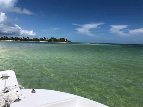 Private Key West Sandbar & Snorkeling Charter - TripShock!