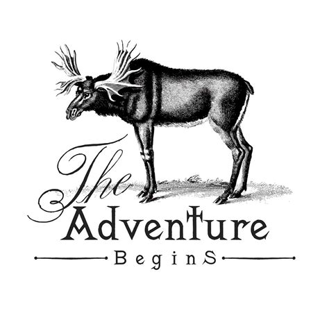 Collection of adventure logo design vectors | Free stock illustration - 463569