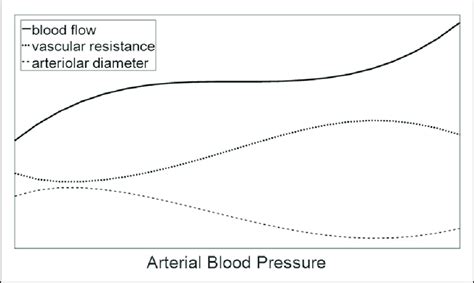 Static Autoregulation curve, redrawn after Paulson et al. 1 The region... | Download Scientific ...