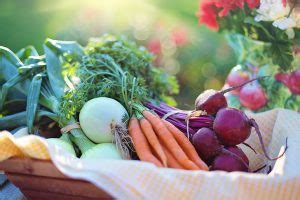 Organic Farming of Vegetables