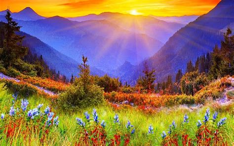 Spectacular mountain sunrise, mountains, flowers, sunbeams, sunrise, meadow, HD wallpaper | Peakpx