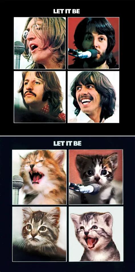 Classic Album Covers Re-Imagined with Cats - Alan Cross