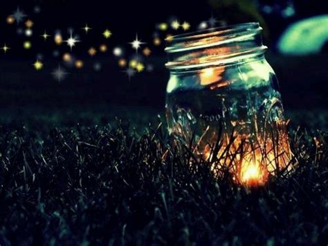 Fireflies | Fireflies in a jar, Summer of love, Bucket list