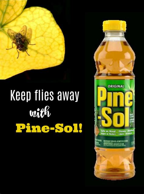 Homemade Fly Repellent with Pine Sol - Keep Flies Away with Pine Sol ...