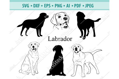 Labrador SVG, Labrador Silhouettes, Dog SVG, Dxf, Png, Eps (423072 ...