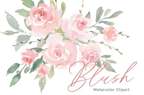 Pink Blush Watercolor Flowers Roses PNG Collection By WatercolorFlowers ...