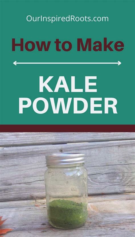 Homemade Kale Powder Recipe Our Inspired Roots