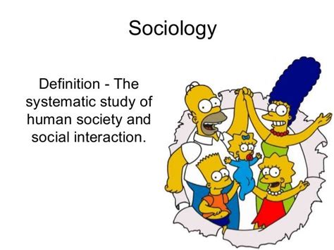 Introduction to sociology