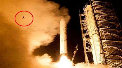 Frog photobomb Nasa LADEE spacecraft launch photo - Mirror Online