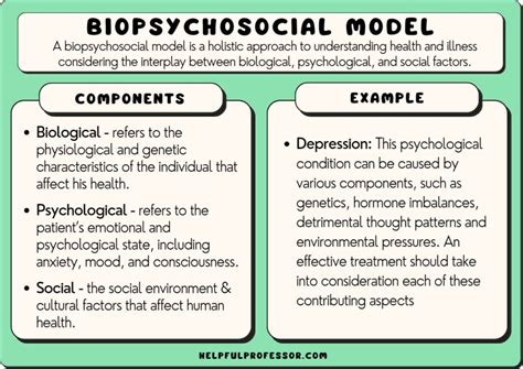 Biopsychosocial Model Examples Overview Criticisms | The Best Porn Website