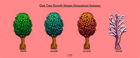 Ultimate Guide to Growing Oak Trees in Stardew Valley - Pigtou