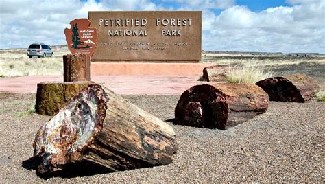 Petrified Forest National Park | Internet Space Chemisty - Michael Lerner