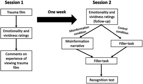 Misinformation Effect Psychology