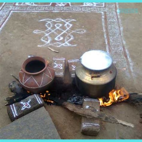 Pongal Festival 2023 – Home Celebrations – Bricksfamily