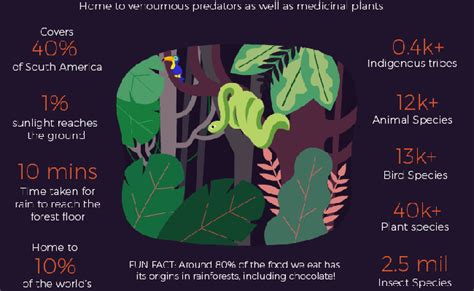 Cool Facts About The Amazon Rainforest – Rainy Weathers