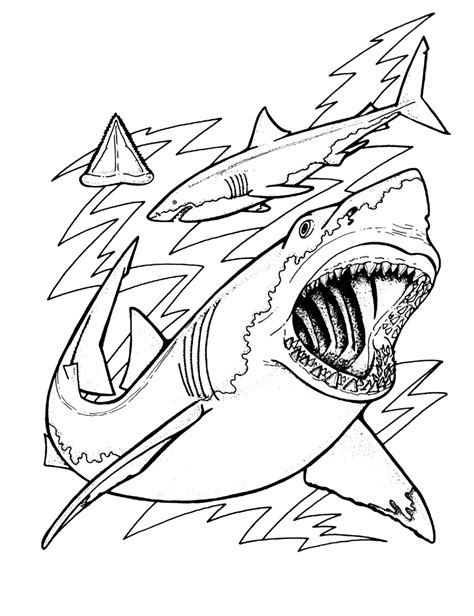 Free Printable Shark Coloring Pages For Kids