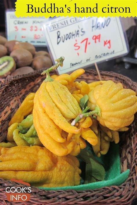 Buddha's Hand Citron - CooksInfo