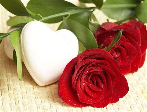 Red Rose Heart Flower Pictures | Best Flower Site