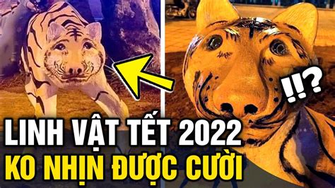 Xôn xao đàn hổ 'GẦY TRƠ XƯƠNG' đón tết 2022 tại Phú Thọ, cơ quan chức năng nói gì | Tin 3 Phút ...