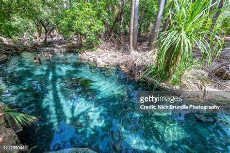 Mataranka Hot Springs Photos and Premium High Res Pictures - Getty Images